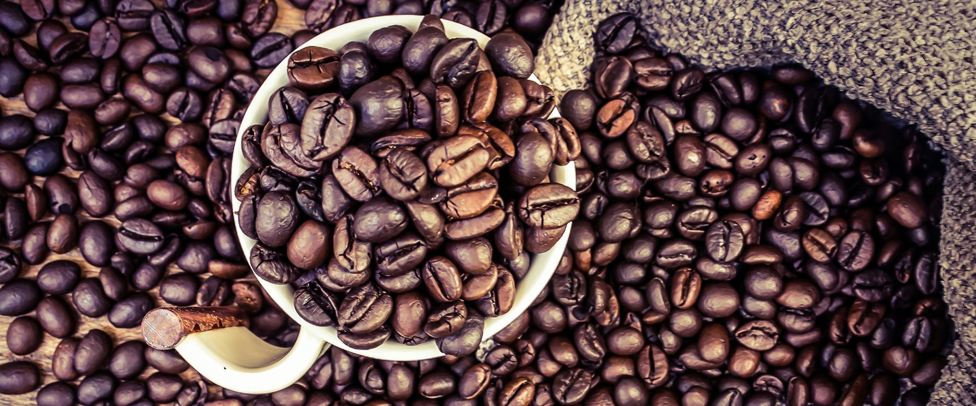 The Science Behind Coffee: How Does it Work?
